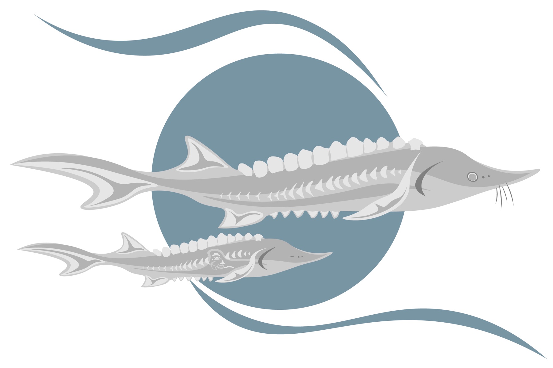 Mama Sturgeon